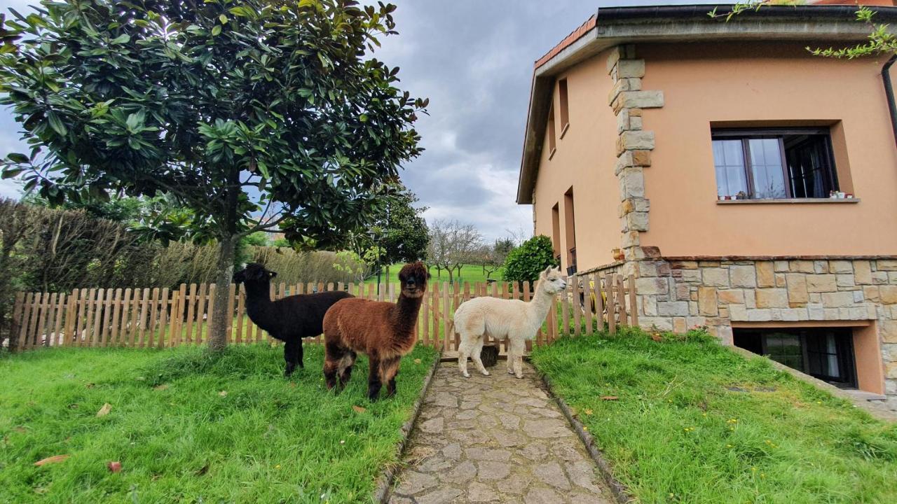 Hotel 3 Alpacas La Campa Kültér fotó